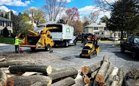 Best Tree Cabling and Bracing  in Central, SC