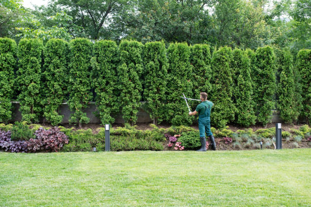 Best Arborist Consultation Services  in Central, SC